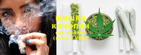 гидра Арсеньев