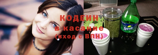 гидра Арсеньев