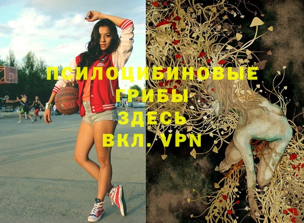 apvp Алексеевка