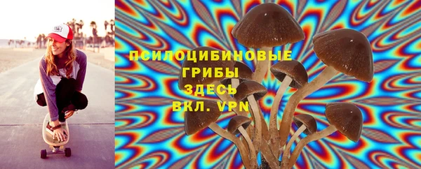 марки lsd Аркадак