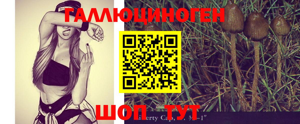 Галлюциногенные грибы Psilocybe Учалы