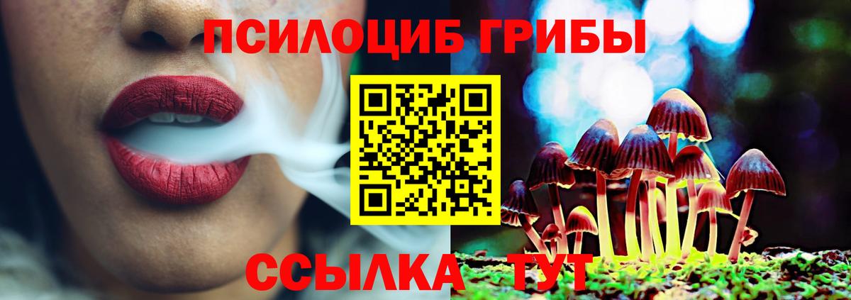 Псилоцибиновые грибы Cubensis  Вход с VPN  Учалы 
